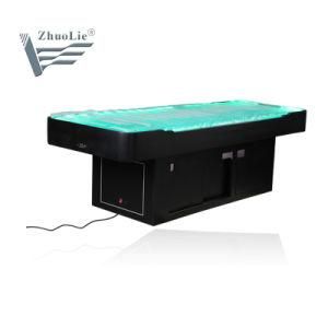 Hydro Therapy Water Table Hydrotherapy Relaxing Heating Water Cushion LED SPA Facial Bed with Ce (D1412)