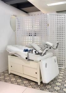 Electric Functional Treatment Gynecology Chair Beauty Massage Bed