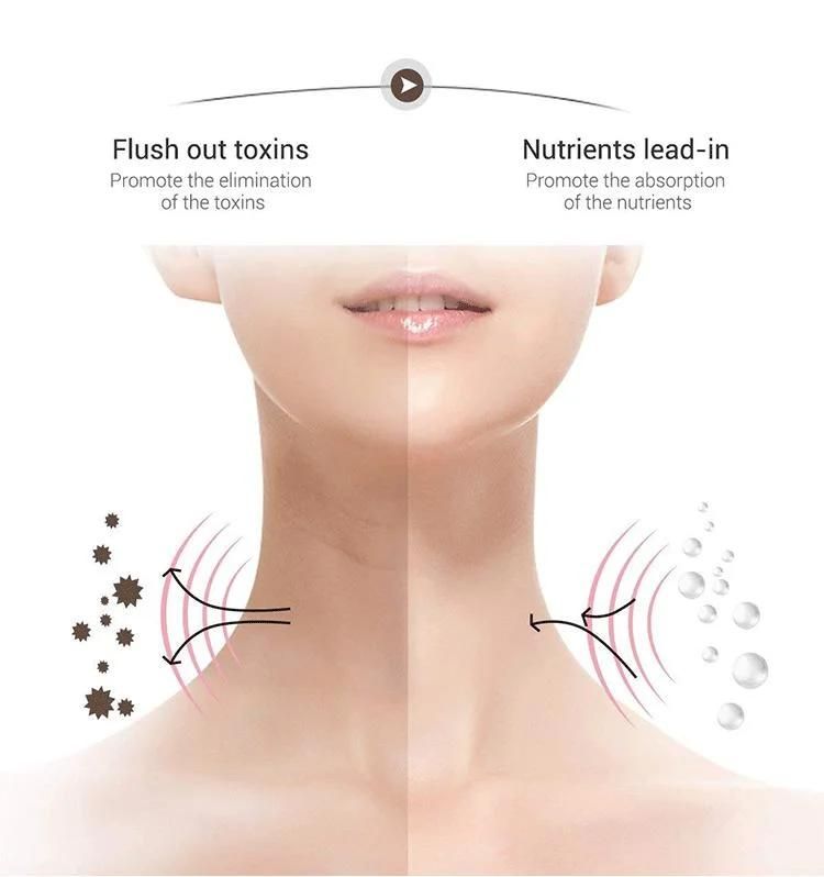 Face Lifting Machine Skin Tightening Toning Set Microcurrent Massager Facial Beauty Antiagin