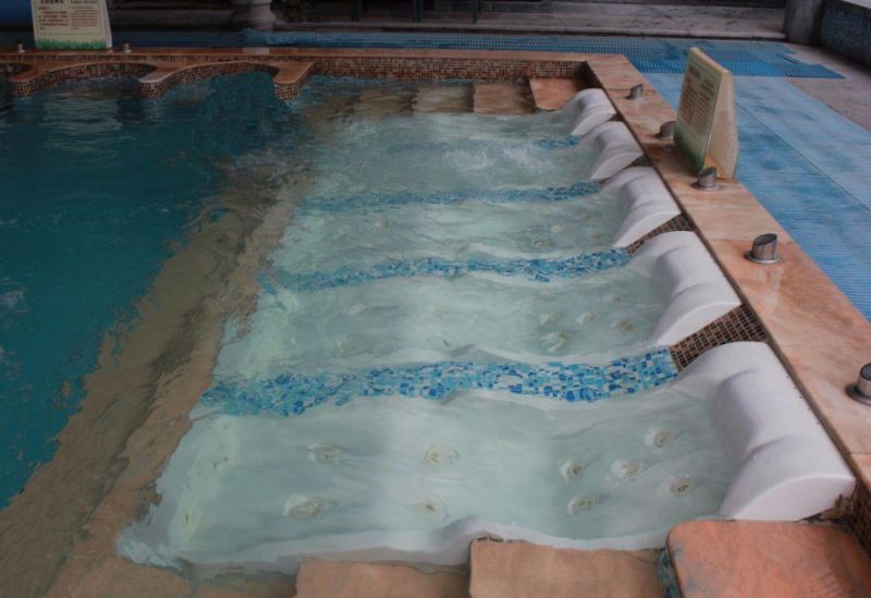 SPA Hydrotherapy Water Jet Massage Bed