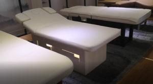 Beautiful New Design Massage Bed for Salon (D14916)