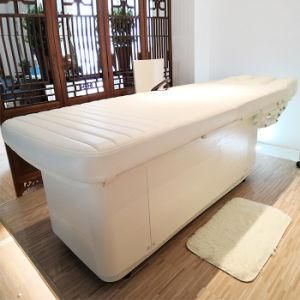 Factory Electric Lift Massage Treatment Table Beauty Salon Bed (08D04)