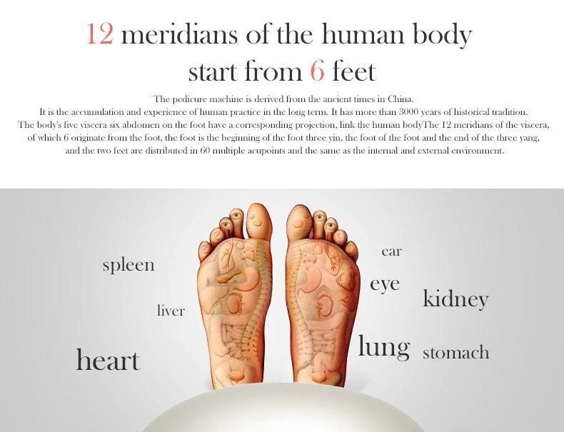 Tahath Mechanical Carton 16.8 X 15.3 9.8 Inches; 10.65 Pounds Massage Machine Foot Massager