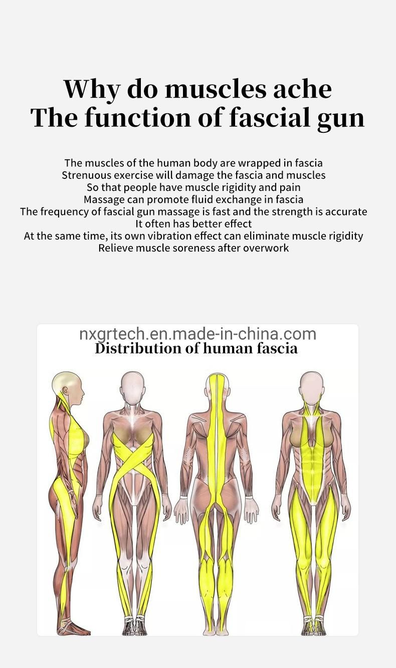 Intelligent High Frequency Percussion Massage Fascia Gun