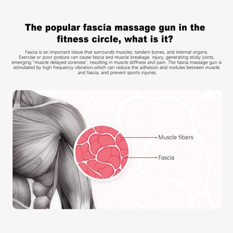 Massage Gun Amazon Best Seller Cordless Deep Tissue Body Massager with LCD Display Screen