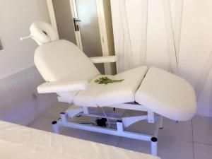 VIP Club Beauty Salon SPA Chair Electric Massage Thermal Table Facial Bed with 3 Motor