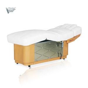 Luxuary Beauty Salon Furniture Tattoo Facial Treatment Aesthetic Cosmetic Bed with Deep Mattress (08D04-4)