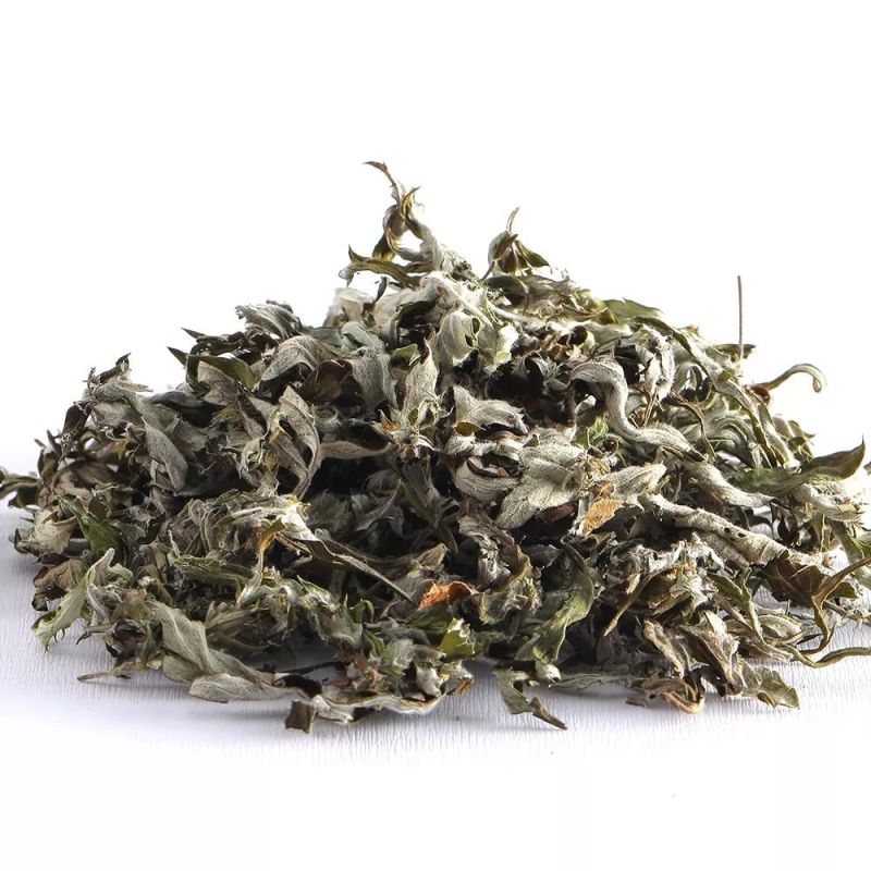 Natural Organic Pressed Dried Mugwort Wormwood Leaves for Foot Bath