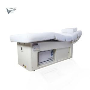 Thermal Jade Massage Bed with Ce (D2013-A)