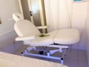 SPA Portable Electric Cosmetic Massage Bed Table Beauty Facial Beds
