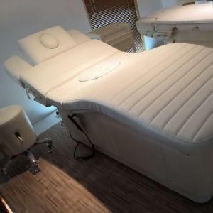 Factory Direct 3 Motor Electric Beauty Salon Furniture Facial Bed Massage Chairs with Ce (08D04)