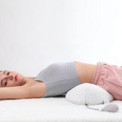 Good Quality Best Electric Heating Low Back Waist Massager Pillow