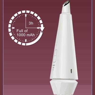 Hot Cold EMS Facial Massager Lifting Device Anti Wrinkle Vibrating Face Massager