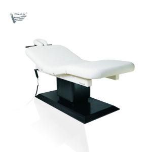 Factory Direct VIP Facial Salon Furniture Electrical Beauty Bed (09D03)