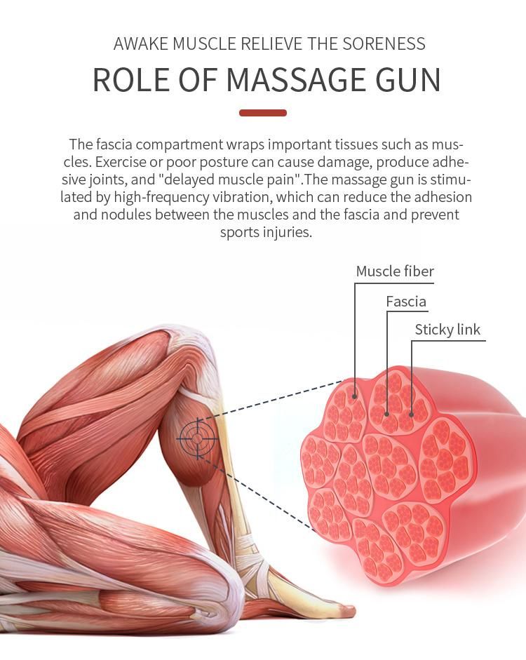 Massage Gun Deep Tissue, Muscle Percussion Back Neck Head Handheld Muscle Massage Gun