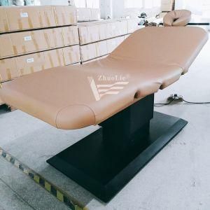Wholesale Cheap Price Simple Electric Facial Cosmetic Beauty Chair (09D03)
