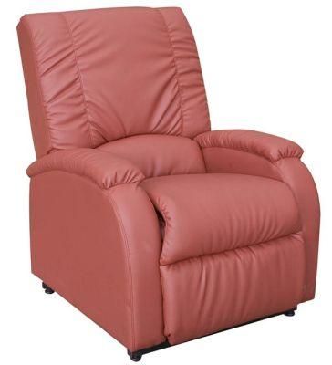 Multifunctional Electric Recliner with Heat and USB Powerful Massage Sofa Lift Chair