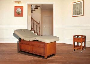 New Electric Massage Table (09D09)