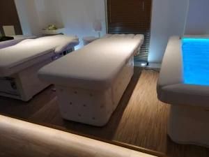 Electric Massage Bed Beauty Facial Table