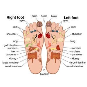 Customized Air Pressure Tahath Carton 16.8 X 15.3 9.8 Inches; 10.65 Pounds Acupuncture Slippers Massager