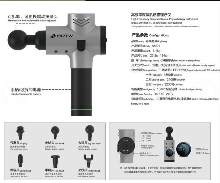 Booster Professional 24V Commercial Gym Massage Gun/Muscle Fitness Machine