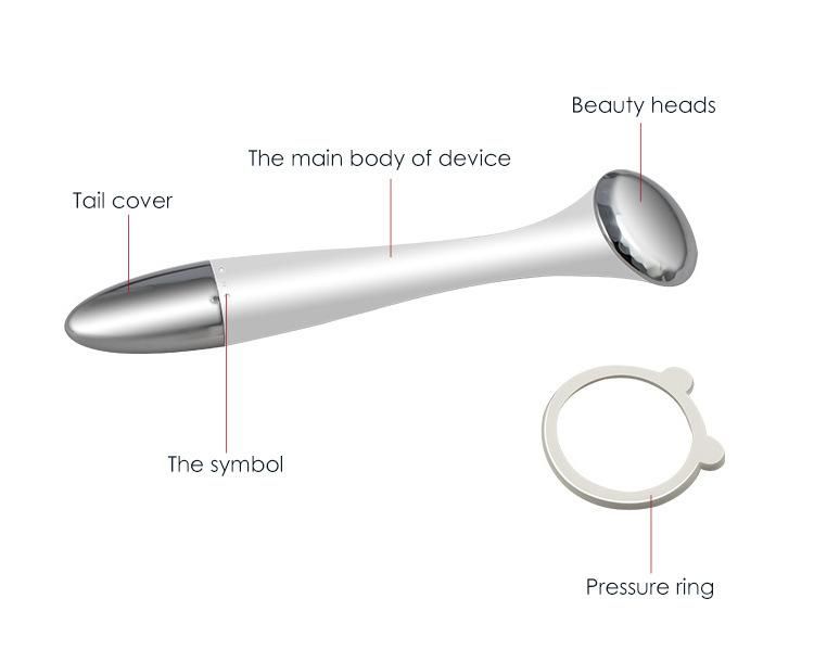 Multi-Function Beauty Equipment Face Massager Electric Vibration Ionic Ultrasonic Facial Massager