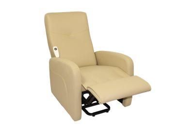 Home SPA Brother Medical Standard Packing Electric Lift Recliner Massage Chairs