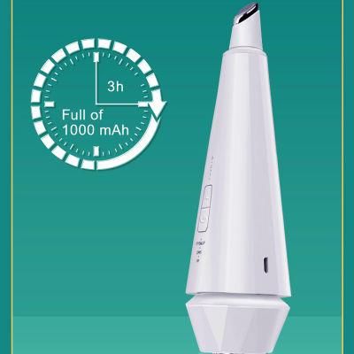 RF EMS Multifunction Beauty Device for Anti-Aging Skin Whitening Skin Tightening Wrinkle Removal Dark Circle Rremover