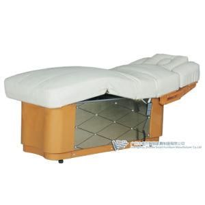 VIP SPA Club Electric Massage Table Facial Bed Salon Equipment (08D04-4)