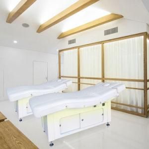 Modern Popular High Quality Electric Massage SPA Bed with Ce