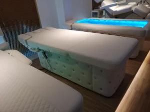 Electric SPA Beauty Treatment Chair Bed