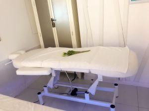 High-Grade Electric Adjust Medical Massage Bed for Beauty Salon