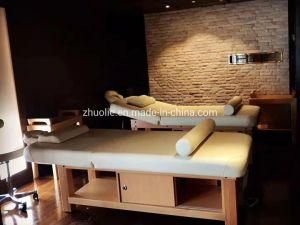Luxury Beauty Salon Furniture Portable Wooden SPA Facial Bed Massage Bed Table with Cabinet for Salon
