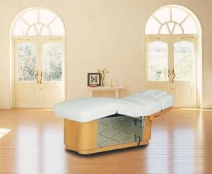 Electric Ultra-Soft 3-Motors Beauty Bed for Beauty Salon (08D04-4)