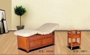 Luxury Leather Electric Massage Bed of Salon Furniture
