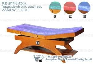 Electric Water Massage Bed of SPA Furniture (09D10)